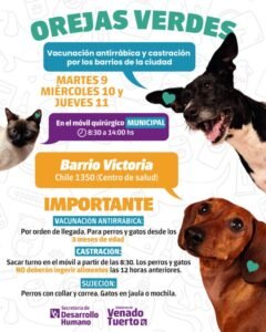 El programa “Orejas Verdes” se trasladará a otro barrio de Venado Tuerto con castraciones y vacunación antirrábica gratuitas