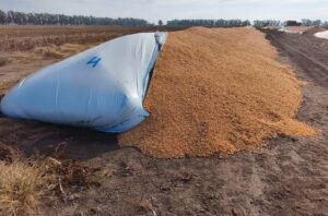 Rompieron 12 silobolsas en un campo de Villa Cañas y el daño es millonario