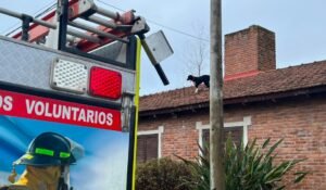 Los Bomberos de Venado Tuerto rescataron a un perro de arriba de un techo
