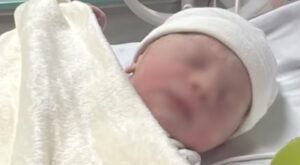 Histórico: dio a luz a los 62 años y se convirtió en la mujer con mayor edad de la Argentina en ser madre