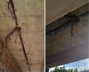 “Cuando pase una tragedia se van a acordar”: Denuncian graves problemas edilicios en barrio de Venado Tuerto
