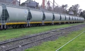 Privatización ferroviaria: el tramo Rufino – Venado Tuerto, en el centro de la renovación total de vías