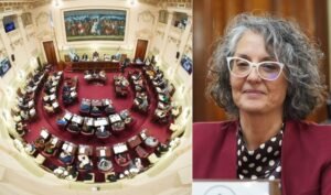 Diputados dio media sanción por unanimidad a la nueva ley de morosos alimentarios