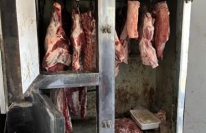 Decomisaron en Venado Tuerto 150 kilos de carne en una carnicería ilegal y con graves irregularidades sanitarias