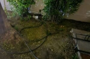 Detenido tras intentar ingresar a una iglesia de Venado Tuerto